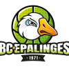 logo_footer